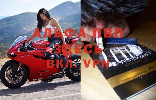 таблы Ладушкин