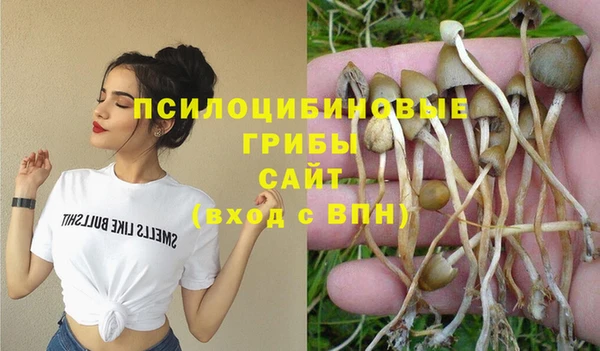 таблы Ладушкин