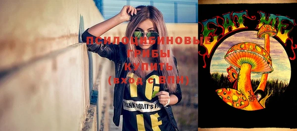 apvp Лабытнанги