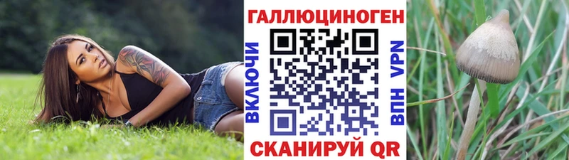 где найти наркотики Обоянь мориарти клад Псилоцибиновые грибы Magic Shrooms